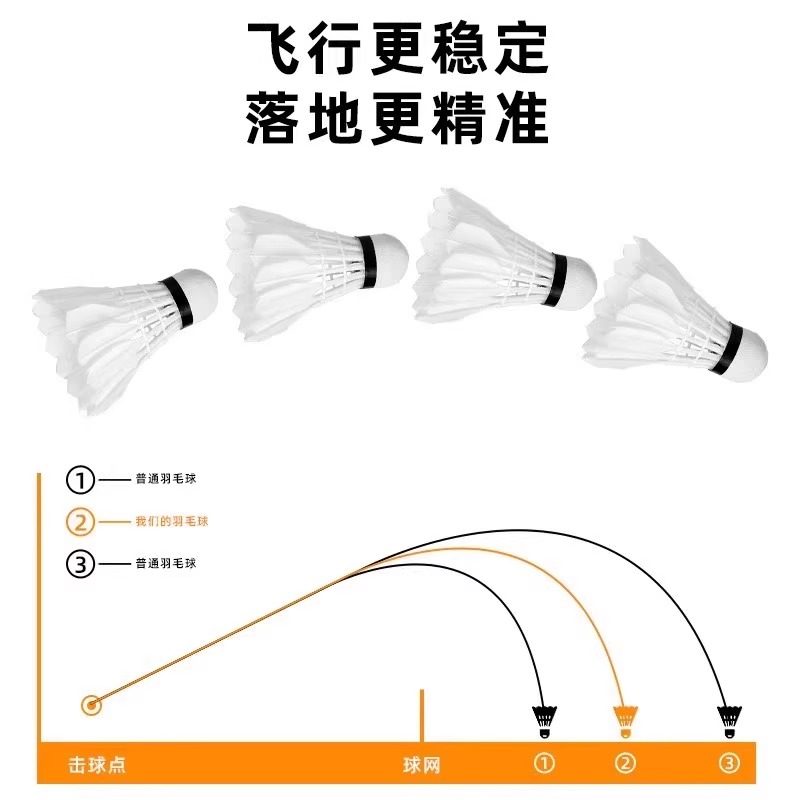 라이온 배드민턴 셔틀콕 거위털 12개입 내구성 킹 화이 - Feather Shuttlecock 리뷰 및 가격